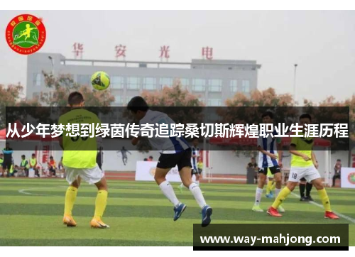 从少年梦想到绿茵传奇追踪桑切斯辉煌职业生涯历程