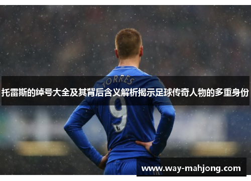 托雷斯的绰号大全及其背后含义解析揭示足球传奇人物的多重身份