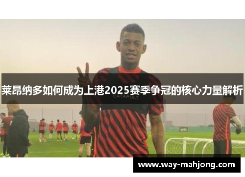 莱昂纳多如何成为上港2025赛季争冠的核心力量解析