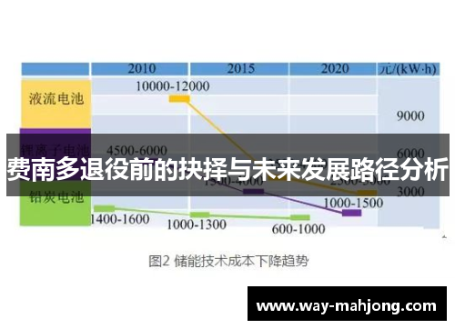 费南多退役前的抉择与未来发展路径分析