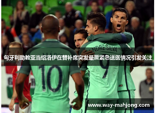 匈牙利助教亚当绍洛伊在替补席突发晕厥紧急送医情况引发关注
